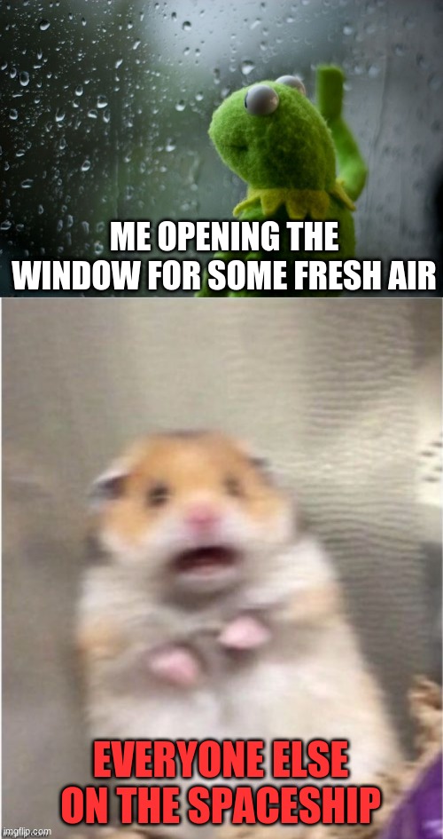 DESTRUCTION AND CHAOS |  ME OPENING THE WINDOW FOR SOME FRESH AIR; EVERYONE ELSE ON THE SPACESHIP | image tagged in kermit window,scared hamster | made w/ Imgflip meme maker
