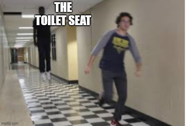 Running Down Hallway | THE TOILET SEAT | image tagged in running down hallway | made w/ Imgflip meme maker
