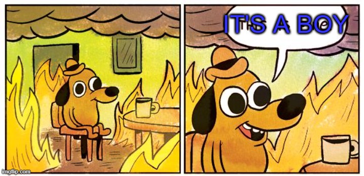 California Gender Reveal Parties be Like | IT'S A BOY | image tagged in memes,this is fine | made w/ Imgflip meme maker