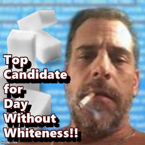 Folks Who Should Celebrate a Day Without Whiteness | image tagged in hunter biden,sugar,memes,whiteness day | made w/ Imgflip meme maker