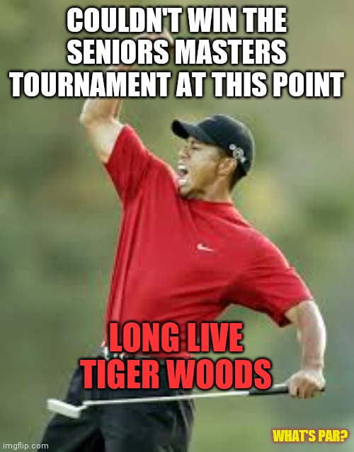 Tiger Woods |  COULDN'T WIN THE SENIORS MASTERS TOURNAMENT AT THIS POINT; LONG LIVE TIGER WOODS; WHAT'S PAR? | image tagged in tiger woods,sunset,good times | made w/ Imgflip meme maker