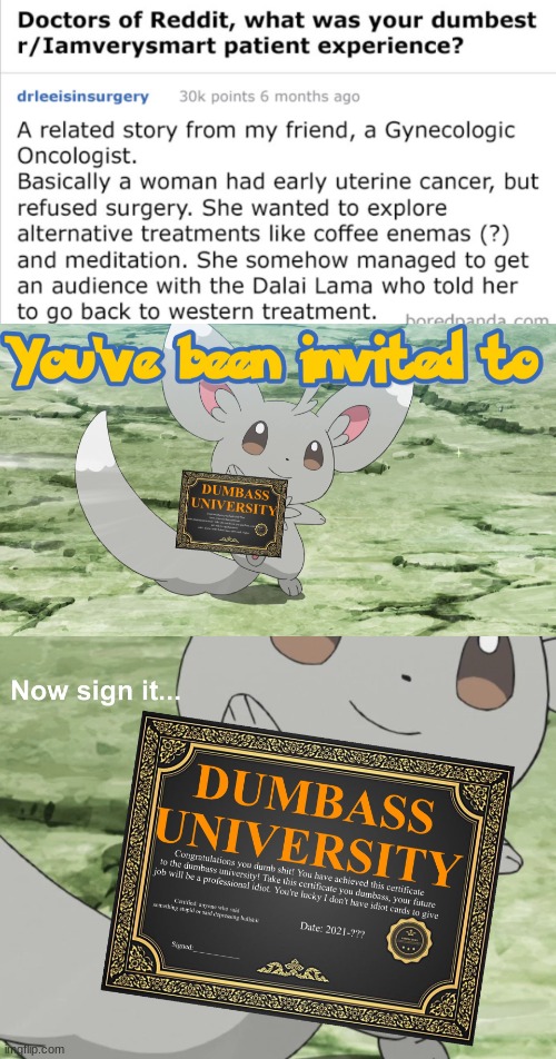 They are dumb | image tagged in you've been invited to dumbass university | made w/ Imgflip meme maker