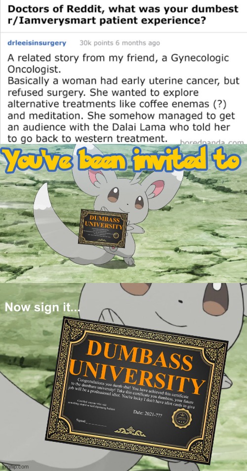 They are dumb | image tagged in you've been invited to dumbass university | made w/ Imgflip meme maker