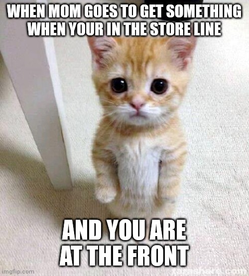 Cute Cat | WHEN MOM GOES TO GET SOMETHING WHEN YOUR IN THE STORE LINE; AND YOU ARE AT THE FRONT | image tagged in memes,cute cat | made w/ Imgflip meme maker