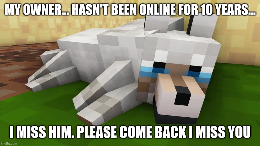 my owner hasn't been online for 10 years | MY OWNER... HASN'T BEEN ONLINE FOR 10 YEARS... I MISS HIM. PLEASE COME BACK I MISS YOU | image tagged in wolf,minecraft,sad,minecraft wolf,minecraft dog | made w/ Imgflip meme maker