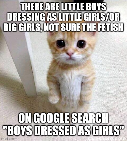 Child Groomers do not exist! | THERE ARE LITTLE BOYS DRESSING AS LITTLE GIRLS/OR BIG GIRLS, NOT SURE THE FETISH; ON GOOGLE SEARCH "BOYS DRESSED AS GIRLS" | image tagged in cute cat,teachers,demonic,communist,brainwashing,children | made w/ Imgflip meme maker