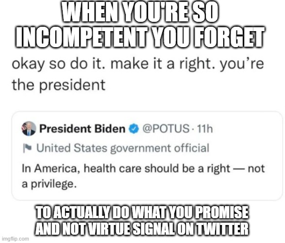 Imagine if you will, a Politician that keeps their promises, wouldn't that be a miracle? | WHEN YOU'RE SO INCOMPETENT YOU FORGET; TO ACTUALLY DO WHAT YOU PROMISE AND NOT VIRTUE SIGNAL ON TWITTER | made w/ Imgflip meme maker