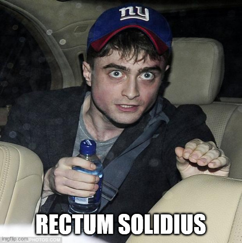 harry potter crazy | RECTUM SOLIDIUS | image tagged in harry potter crazy | made w/ Imgflip meme maker