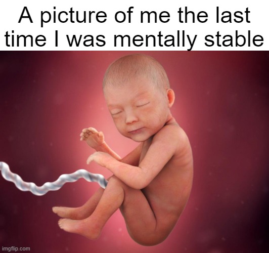 Mentally stable the last time |  A picture of me the last time I was mentally stable | image tagged in memes,mental illness | made w/ Imgflip meme maker
