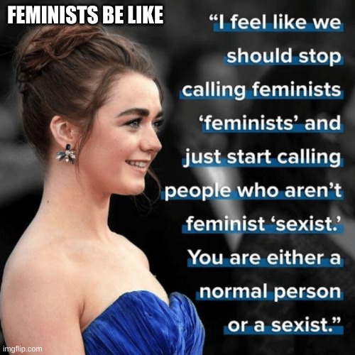 Feminists be like | FEMINISTS BE LIKE | image tagged in feminazi | made w/ Imgflip meme maker