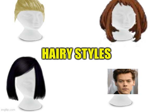 Hairy styles is here | HAIRY STYLES | image tagged in blank white template | made w/ Imgflip meme maker