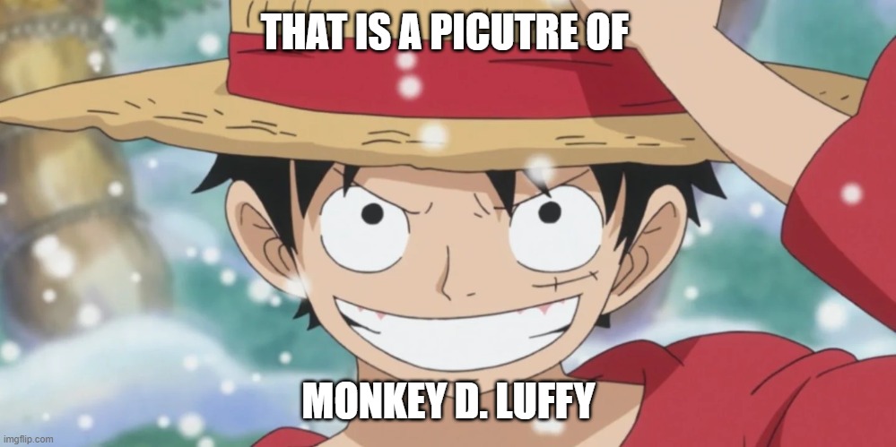 comment 14 | THAT IS A PICUTRE OF MONKEY D. LUFFY | image tagged in anime charcter my fav | made w/ Imgflip meme maker