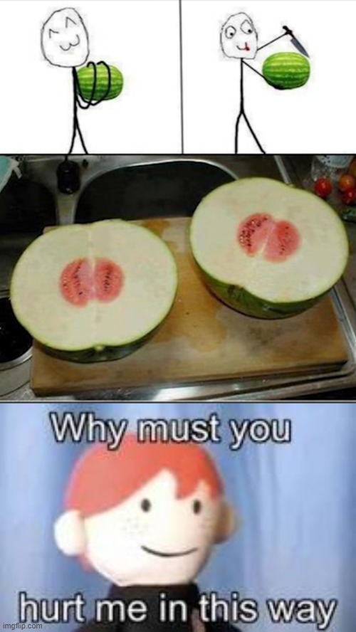 Watermelon  | image tagged in why must you hurt me in this way | made w/ Imgflip meme maker
