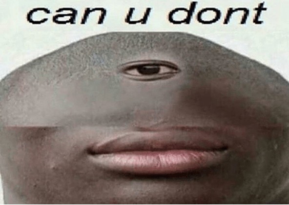 can u dont | image tagged in can u dont | made w/ Imgflip meme maker