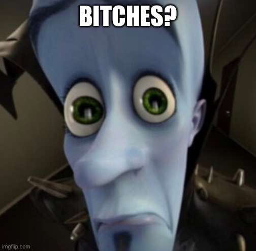 No bitches? | BITCHES? | image tagged in no bitches | made w/ Imgflip meme maker