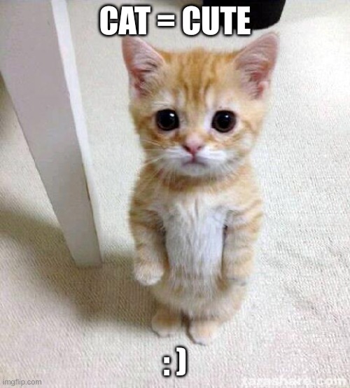 Cute Cat | CAT = CUTE; : ) | image tagged in memes,cute cat | made w/ Imgflip meme maker