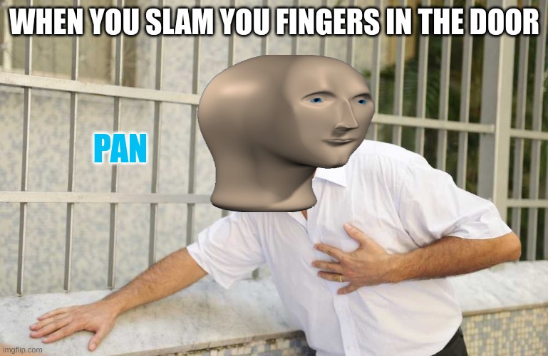 Big Rip | WHEN YOU SLAM YOU FINGERS IN THE DOOR; PAN | image tagged in ouch | made w/ Imgflip meme maker