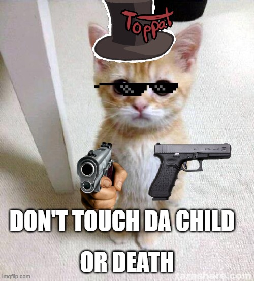 don't touch da child | OR DEATH; DON'T TOUCH DA CHILD | image tagged in memes,cute cat | made w/ Imgflip meme maker