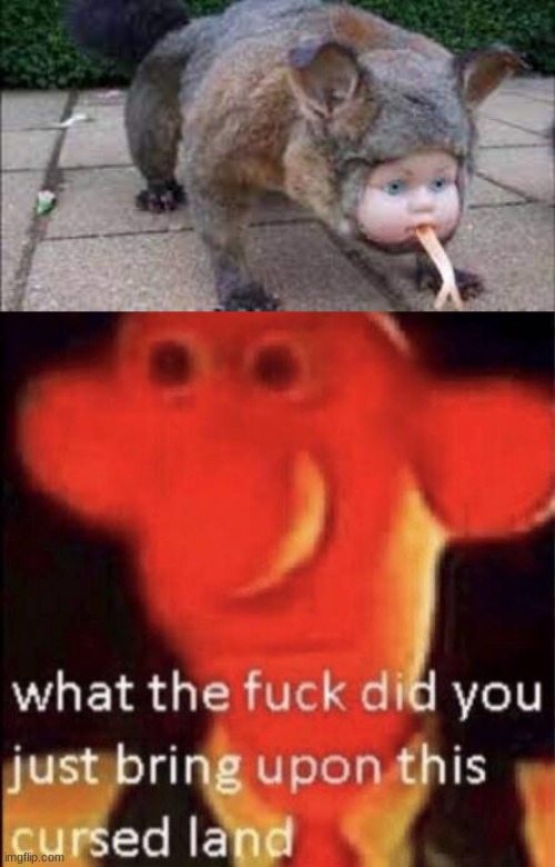 what the hell | image tagged in chernobyl,wallace cursed land | made w/ Imgflip meme maker