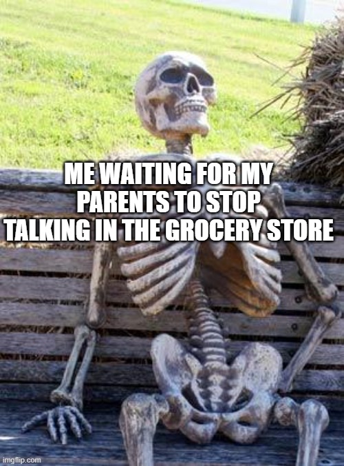 Waiting Skeleton | ME WAITING FOR MY PARENTS TO STOP TALKING IN THE GROCERY STORE | image tagged in memes,waiting skeleton | made w/ Imgflip meme maker