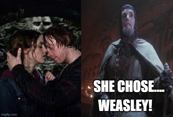 Hermione chose Weasley |  SHE CHOSE.... WEASLEY! | image tagged in holy grail,harry potter,ron weasley,hermione granger | made w/ Imgflip meme maker