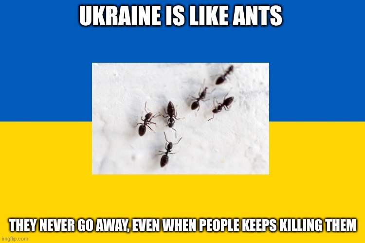 I really hope Ukraine gets through this T.T | UKRAINE IS LIKE ANTS; THEY NEVER GO AWAY, EVEN WHEN PEOPLE KEEPS KILLING THEM | image tagged in ukraine flag,ukraine,russia,war,standforukraine,e | made w/ Imgflip meme maker