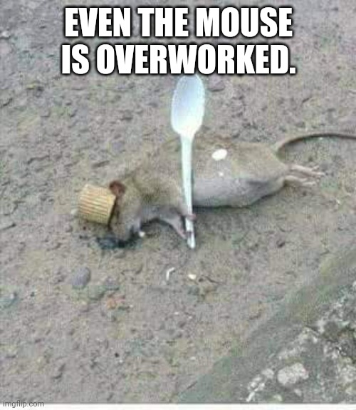 Ratatouille rat... Overworked. | EVEN THE MOUSE IS OVERWORKED. | image tagged in ratatouille dead,work,mouse,rat | made w/ Imgflip meme maker