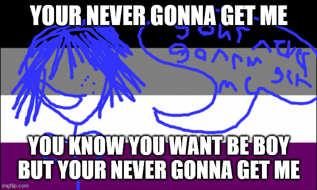 an asexual joke by xeno kallum | YOUR NEVER GONNA GET ME; YOU KNOW YOU WANT BE BOY BUT YOUR NEVER GONNA GET ME | image tagged in ace flag | made w/ Imgflip meme maker
