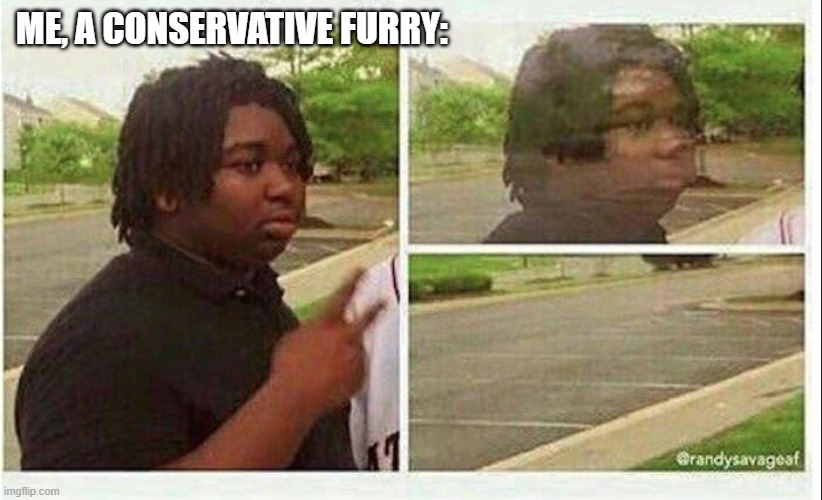 Black guy disappearing | ME, A CONSERVATIVE FURRY: | image tagged in black guy disappearing | made w/ Imgflip meme maker