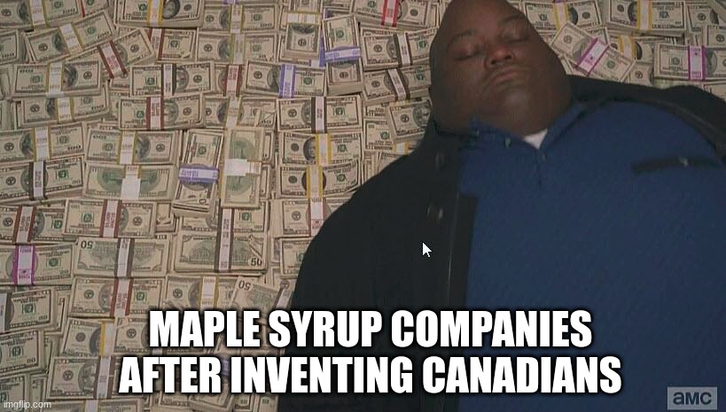 M A P L E  S Y R U P | MAPLE SYRUP COMPANIES AFTER INVENTING CANADIANS | image tagged in fat guy laying on money | made w/ Imgflip meme maker
