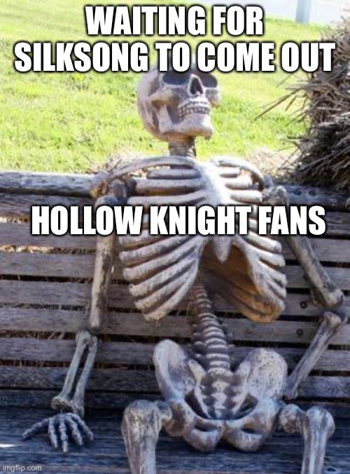 Hollow knight | WAITING FOR SILKSONG TO COME OUT; HOLLOW KNIGHT FANS | image tagged in memes,waiting skeleton | made w/ Imgflip meme maker