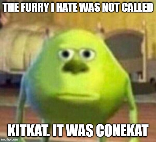 Mike Monster Inc Bruh Meme | THE FURRY I HATE WAS NOT CALLED; KITKAT. IT WAS CONEKAT | image tagged in mike monster inc bruh meme | made w/ Imgflip meme maker