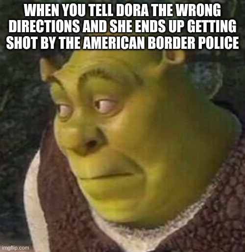 Shrek |  WHEN YOU TELL DORA THE WRONG DIRECTIONS AND SHE ENDS UP GETTING SHOT BY THE AMERICAN BORDER POLICE | image tagged in shrek | made w/ Imgflip meme maker