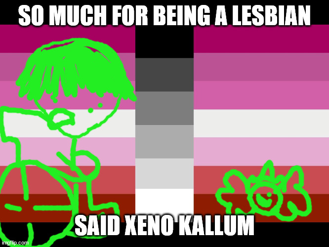 Homoflexible lesbian flag | SO MUCH FOR BEING A LESBIAN; SAID XENO KALLUM | image tagged in homoflexible lesbian flag | made w/ Imgflip meme maker