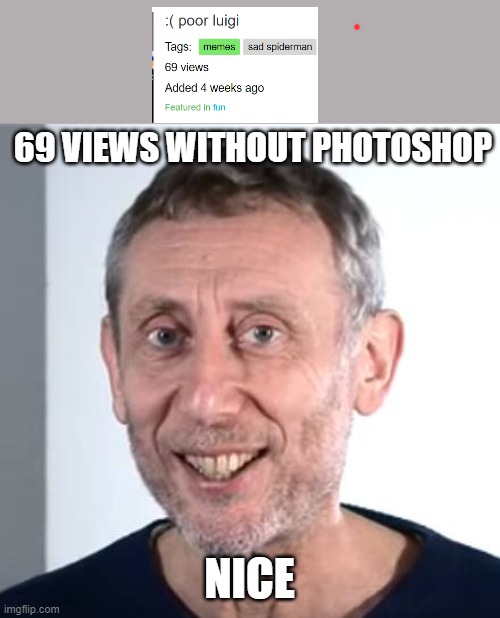 this is a real screenshot | 69 VIEWS WITHOUT PHOTOSHOP; NICE | image tagged in nice michael rosen | made w/ Imgflip meme maker