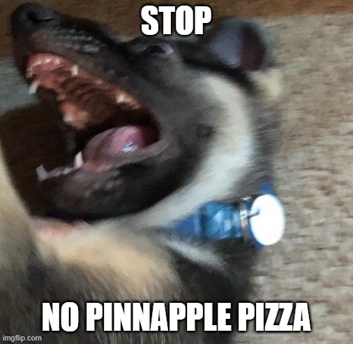 angy doggo | STOP NO PINNAPPLE PIZZA | image tagged in angy doggo | made w/ Imgflip meme maker