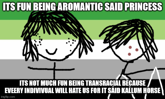 Aromantic Flag | ITS FUN BEING AROMANTIC SAID PRINCESS; ITS NOT MUCH FUN BEING TRANSRACIAL BECAUSE EVEERY INDIVIVUAL WILL HATE US FOR IT SAID KALLUM HORSE | image tagged in aromantic flag | made w/ Imgflip meme maker