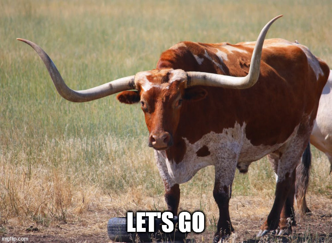 Bull with big horns | LET'S GO | image tagged in bull with big horns | made w/ Imgflip meme maker