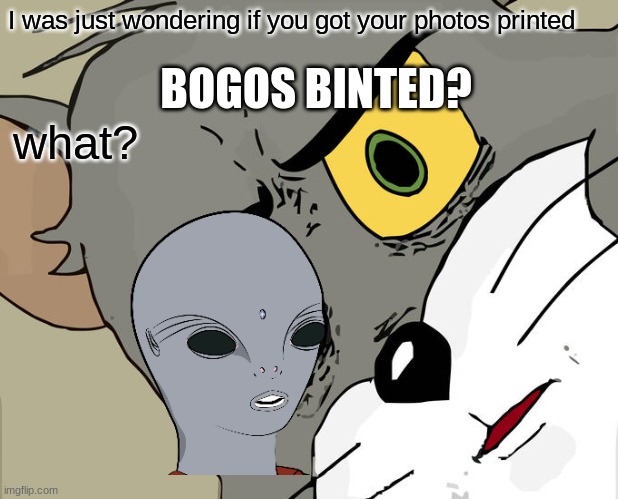 alien | I was just wondering if you got your photos printed; BOGOS BINTED? what? | image tagged in memes | made w/ Imgflip meme maker
