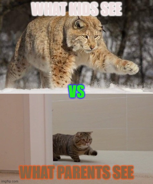 Parents vs. kids | WHAT KIDS SEE; VS; WHAT PARENTS SEE | image tagged in snow leopard and housecat | made w/ Imgflip meme maker