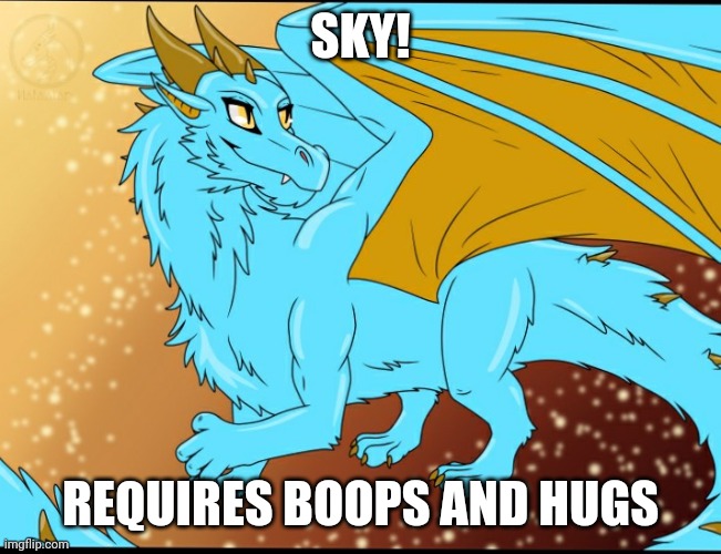 Sky Dragon | SKY! REQUIRES BOOPS AND HUGS | image tagged in sky dragon | made w/ Imgflip meme maker
