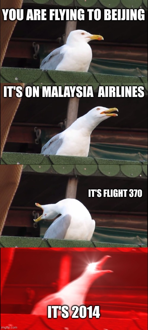 No more planes | YOU ARE FLYING TO BEIJING; IT'S ON MALAYSIA  AIRLINES; IT'S FLIGHT 370; IT'S 2014 | image tagged in memes,inhaling seagull | made w/ Imgflip meme maker