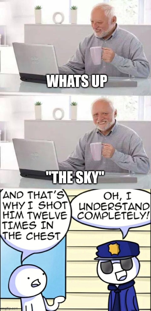 WHATS UP; "THE SKY" | image tagged in memes,hide the pain harold,and that s why i shot him | made w/ Imgflip meme maker
