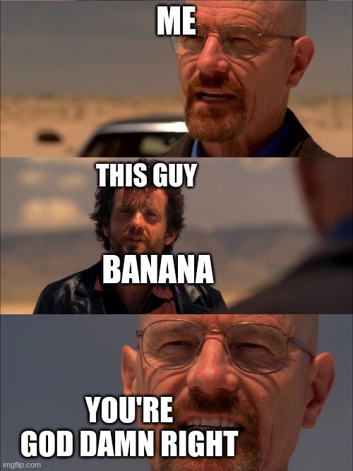 Breaking Bad - Say My Name | ME BANANA YOU'RE GOD DAMN RIGHT THIS GUY | image tagged in breaking bad - say my name | made w/ Imgflip meme maker