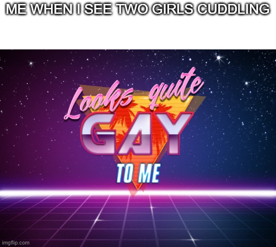 Looks quite gay to me | ME WHEN I SEE TWO GIRLS CUDDLING | image tagged in looks quite gay to me | made w/ Imgflip meme maker