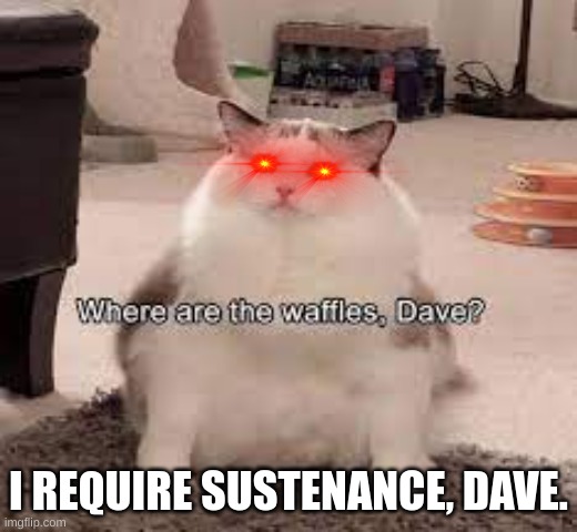 He is coming for your plasma | I REQUIRE SUSTENANCE, DAVE. | image tagged in funny,cats,cat,funny cat memes | made w/ Imgflip meme maker
