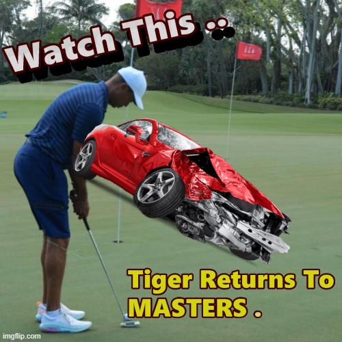 Watch Tiger Take This Shot | image tagged in tiger woods,masters,memes,golf | made w/ Imgflip meme maker