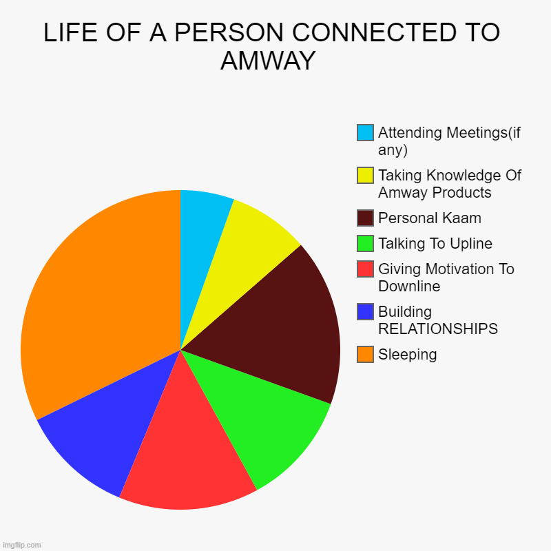 LIFE OF A PERSON CONNECTED TO AMWAY  | Sleeping, Building RELATIONSHIPS, Giving Motivation To Downline, Talking To Upline, Personal Kaam, Ta | image tagged in charts,pie charts | made w/ Imgflip chart maker