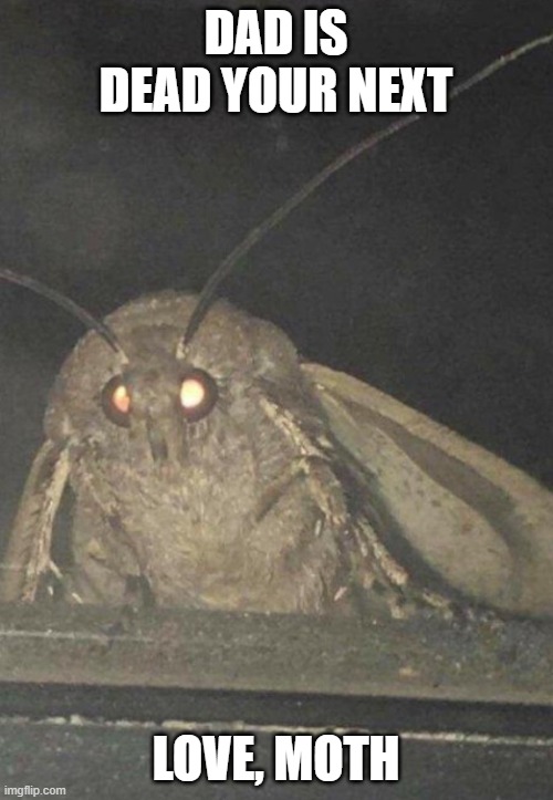 Moth | DAD IS DEAD YOUR NEXT LOVE, MOTH | image tagged in moth | made w/ Imgflip meme maker
