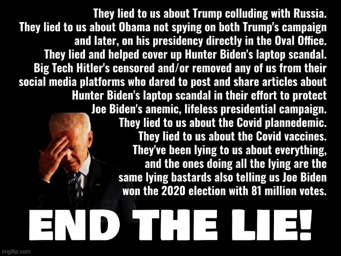 Burn it to the ground!Enough is enough of this bullshit! | image tagged in joe biden,election fraud,election 2020,trump,political,politics | made w/ Imgflip meme maker